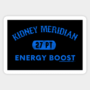 Energy Boost Kidney 27 Sticker